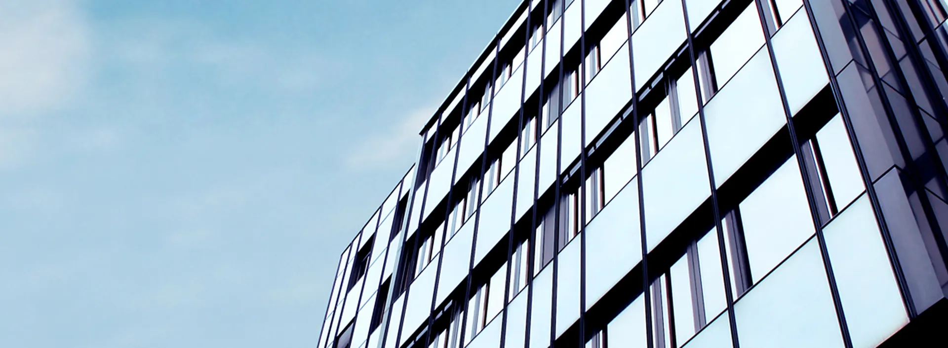 Company