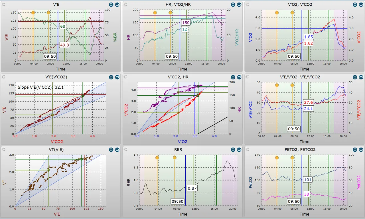 MetaSoft® Studio, 9-Felder-Grafik nach Wasserman mit V̇E/V̇CO₂-Slope